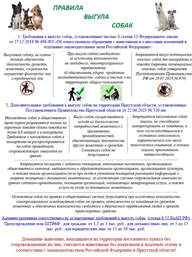 pravila vyguda sobak