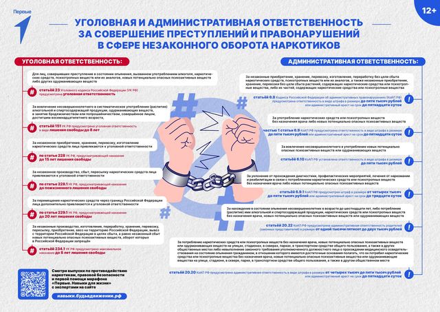 ugolovnaja otvetstvennost